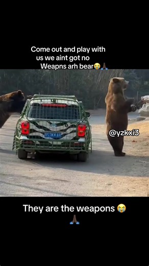 Understanding the 'Only in Ohio' Meme Phenomenon