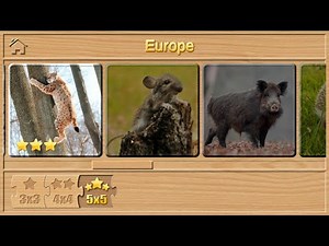 JIGSAW PUZZLES FOR KIDS (ENGLISH) ANIMAL PUZZLES FOR CHILDREN (MOUSE, WILD BOAR, HEDGEHOG, SQUIRREL)