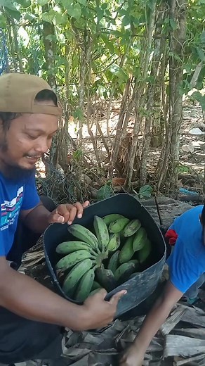 Cara tradisional ini sangat membantu. #tutorial | Hasanuddin Hasan