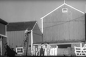 Friday Feature: 1950s Farm Electrification Documentary | Panhandle Agriculture