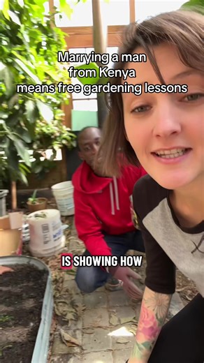 How to Grow New Fig Trees from Prunings