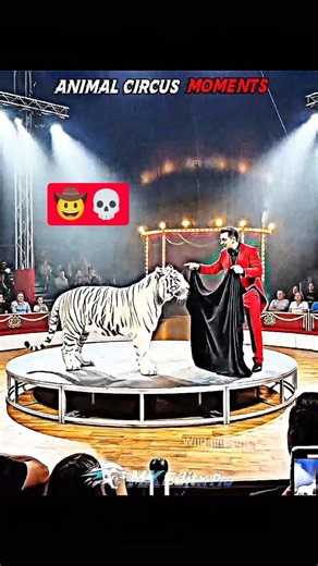 Animals Performing Amazing Tricks #trollface #edit #trendingshorts #animals