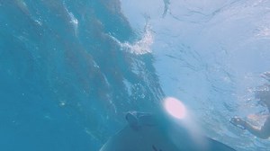 Slow Motion Footage Manta Ray Belly Stock Footage Video (100% Royalty-free) 1017038752 | Shutterstock