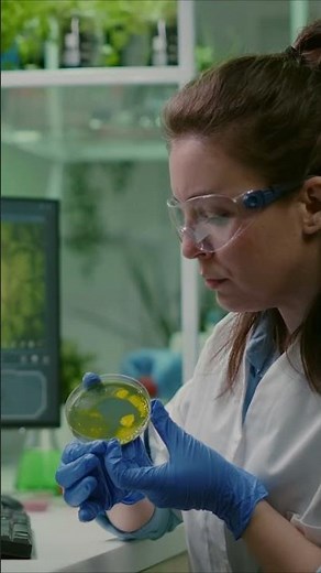 ¿Qué es Ingeniería en Alimentos? #admisión2025 #UTM