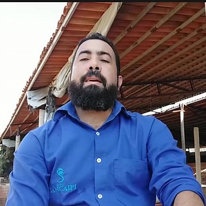 599 reactions · 59 shares | MANUAL COMPLETO DA CRIAÇÃO DE GALINHAS...