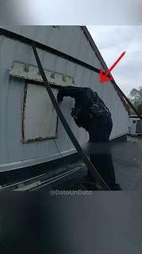 She Lived Inside a Billboard and No One Noticed 🏪😱