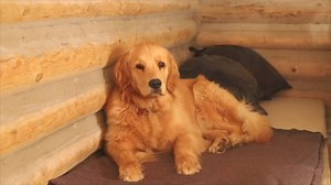 18K views · 1.1K reactions | July 2018: Advice to My Twenty Year Old...