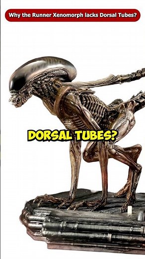 Why does the Runner Xenomorph Lacks Dorsal Tubes? #Shorts #Viral #Facehugger