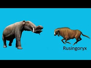 New Cenozoic Animals! Size Comparison