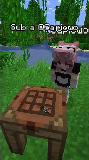 NEW WORKBENCH SLABS in Minecraft 🚧🚧🚧