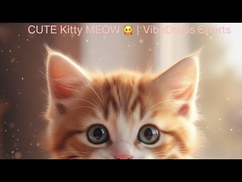 Sweet Kitty Meow 🐱 | Cute Cat Sound Effect | Free Download 🎬 | VibeDrops #93