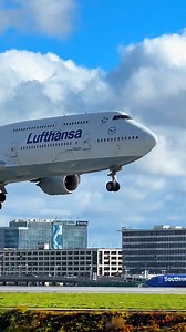 LUFTHANSA BOEING 747-8 LANDING AT LOS ANGELES INTERNATIONAL AIRPORT #fyp #la #losangeles #laxairport #planespotting #planespotter #planespotters #aviation #pilot #flightattendant #cabincrew #takeoff #aircraft #boeing #boeing747 #lufthansa #lufthansaairlines | Nvd Aviation