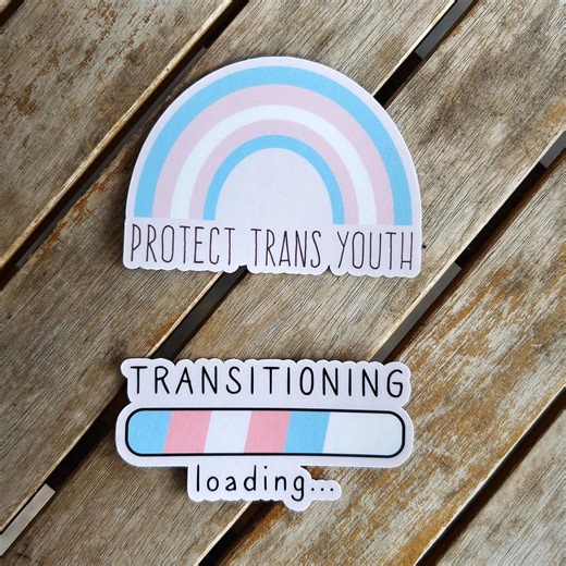 Transgender Stickers: Vinyl WATERPROOF Sticker - Etsy