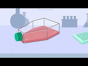 How UKHSA's Vaccine Development and Evaluation Centre use microneutralisation assays (MNA)