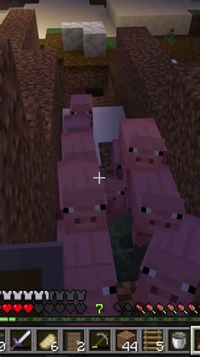 Day 2 of shortsmas flashes back to the great pig migration #minecraft #minecraftshorts #gaming