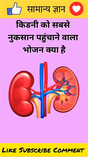 GK Question || GK In Hindi || GKQuestion and Answer || GK Quiz || #gkquestion #generalknowledge