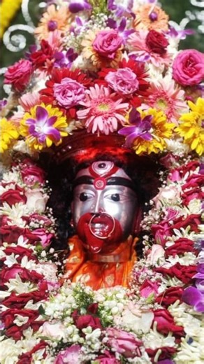 🌺শিবসনাতনী🌺 #maataratoday #tarapithtemple #hindutemple #tarapithmandir #taramaa #maa #kalimaa #মা