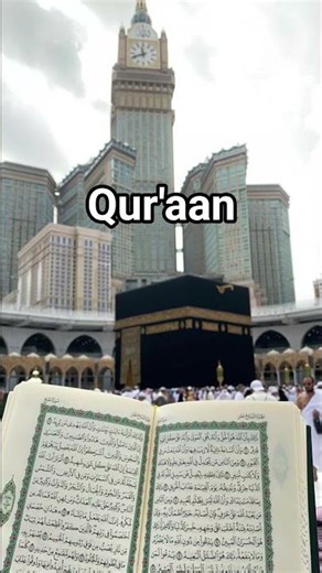 Quran urdu translation