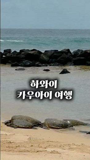 [하와이 유학] 봄방학동안 카우아이 여행✈️