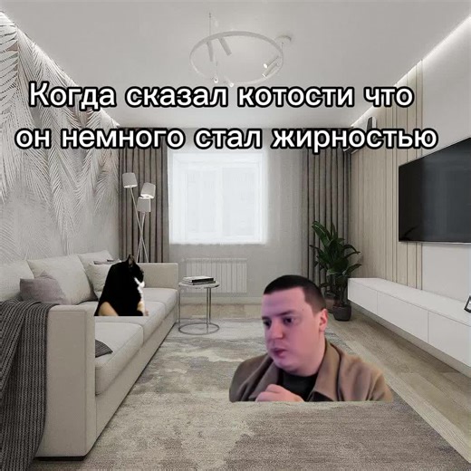 Котость разбушевалось😡 #друн #котость #foryou #viral #рекомендации #fyp