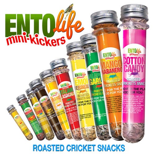Mini-Kickers Flavored Cricket Snacks – Edible Insects %