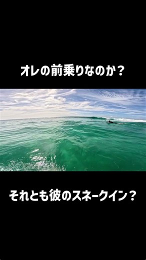 これはドロップイン？それともスネークイン？