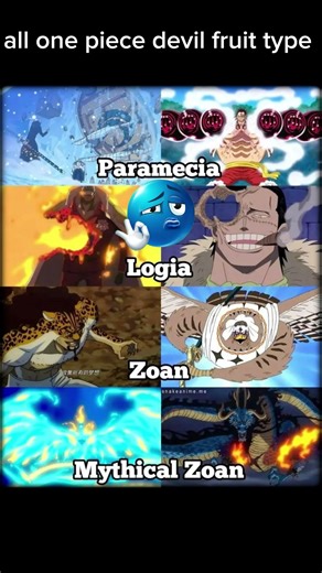 all devil fruit types in one piece#anime