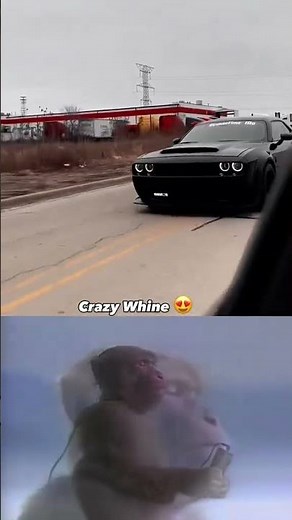 Why The Dodge Challenger Sounds So Good