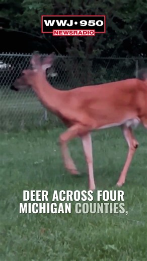 DNR confirms viral deer disease EHD in 4 Michigan counties