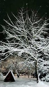 1.1.20.26/YOU ARE MY LIGHTHOUSE/🌏PLANET EARTH🧬