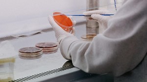 Patogen Adalah Organisme Penyebab Penyakit, Simak Jenis-Jenis dan Cara Pencegahan