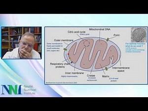The Role of Nutrition Care In Mitochondrial Health - ASPEN 2021