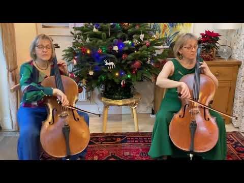 Gabriel’s Oboe - Morricone - All Cello version!