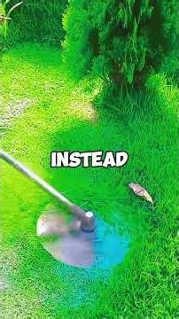 My dad found a secret file on my computer and I thought I was about to get disowned #redditstories