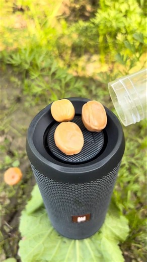 jbl super bass n brown chocolate jump with flip 2 and bass test