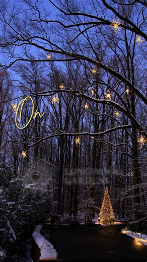 Enjoy more than 500,000 lights, colorful fountains, and gardens of bloom. The new West Conservatory is now open. Cafe and Gift Shop available. Proceeds benefit the Leister-Staley annual scholarship. #longwoodgardenschristmas #worcesterlibraryfoundation #librarytrip | Worcester County Maryland Library | Facebook