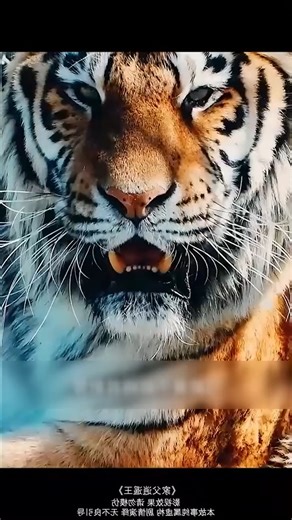 26K views · 395 reactions | Isang mahirap na binata ang bumalik sa nakaraan dala ang makabagong sandata—Makakamit kaya niya ang kapangyarihan? | Wrestling Highlights | Facebook