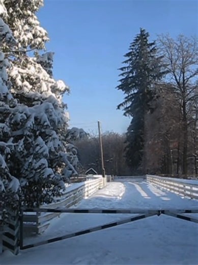 Embracing Change: What Should Remain Unchanged?