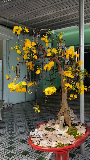 51K views · 832 reactions | Tết Đoan Ngọ ae lên đơn và chuẩn bị lì xì gì chưa nè. | Phạm Hoà | Facebook