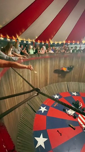 Thrilling Stunt Show with BMW and Ducati Motorcycles