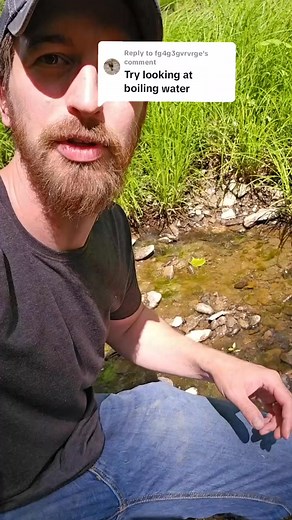 7.2K views · 82 reactions | Looking at pond water before and after boiling it under a microscope #survival #microscope #waterpurification #outdoors #outdoorlife #microorganisms #waterpurification | Bushcraft Life | Facebook