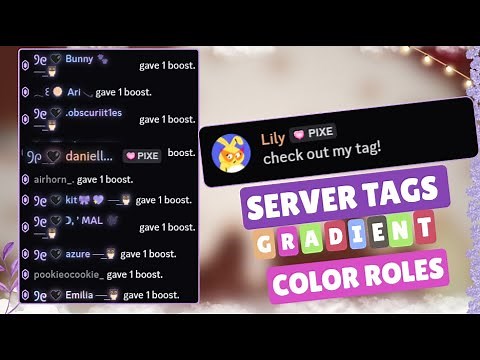 How To Get Server Tags and Gradient Color Roles | New Feature