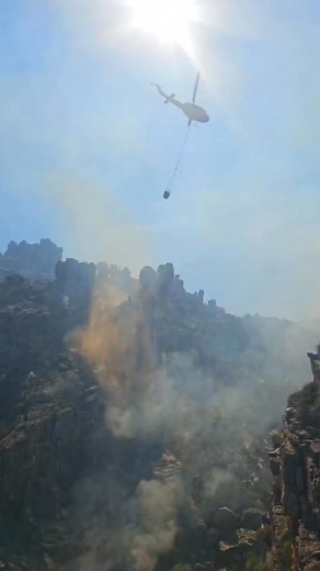 #StemindieBos Team B and Lewis Fire Team A 🔥 Working together in containing a mountain fire. #lewisbushclearing #WildfireResponse #witzenbergmunicipality #firefighting #teamwork | Lewis Bush Clearing and Alien Firefighting