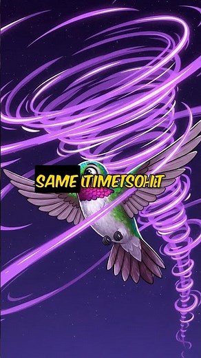 How Do Hummingbirds Hover? 80 Wing Beats Every Second!