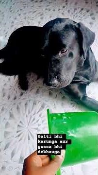 Galti bhi karunga aur gussa bhi dekhaunga#shorts