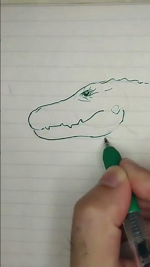 How to draw realistic alligator 🐊 tutorial #drawing
