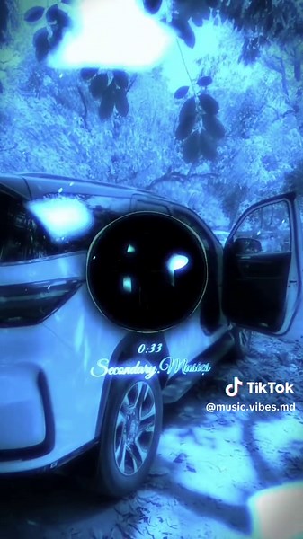 Sem Lovezinho: A Vibrant Piseiro Experience