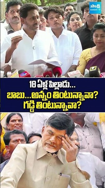 బాబు...అన్నం తింటున్నావా? గడ్డి తింటున్నావా? #YSJagan #YSJaganPressMeet #SeediriAppalaraju