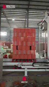 Why Add Perlite to Bricks? 🔥🧱 #construction #bricks #brickbuilder #home #manufacturing #brick