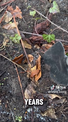 Save the Nature: Join the Movement!